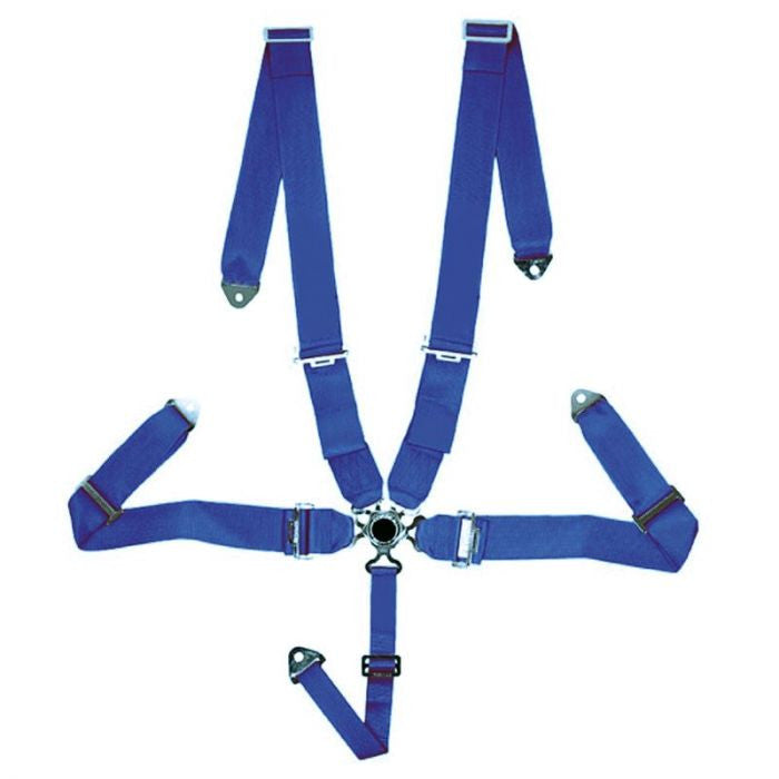 5-point sports belt Blue