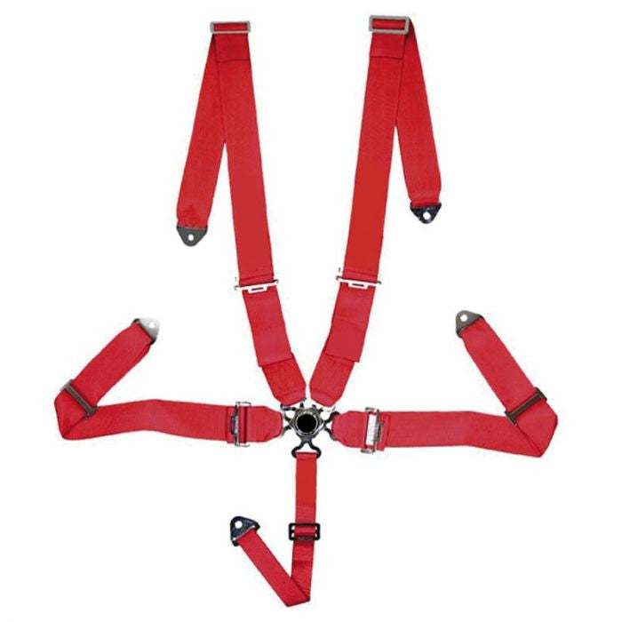 5-point sports belt Red