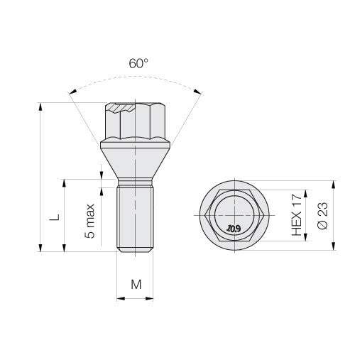 SCREW 14X1.25 Hex17 Length 35mm Black